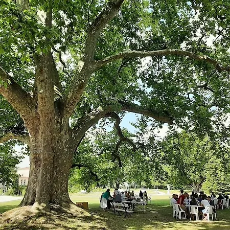شقة Chateau De Mornay Saint-Pierre-de-l'Isle