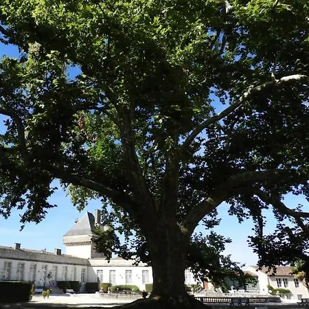 Chateau De Mornay *
