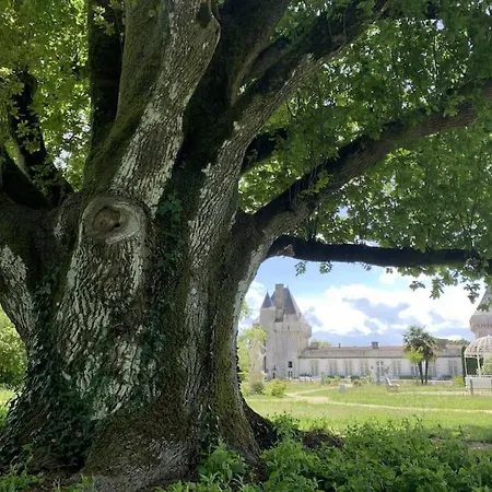 Un D'exception Au Logis Du Château Apartamento *